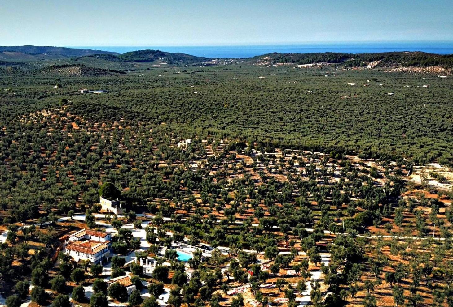 ויאסטה Agricampeggio - Solo Piazzole Vuote - Agriturismo Passione Natura מראה חיצוני תמונה